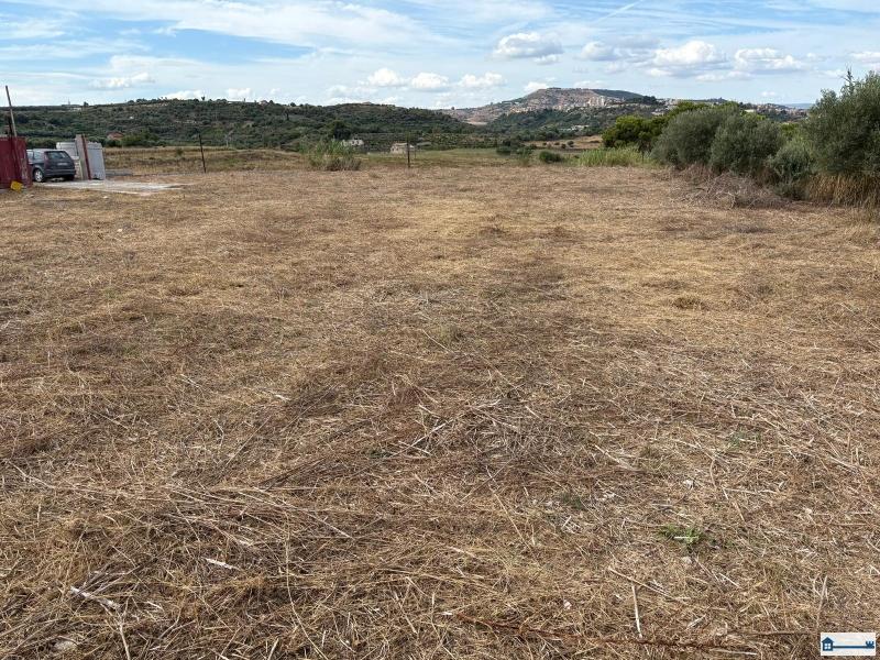 PHOTO-2025-08-20-18-38-07 (6).jpg